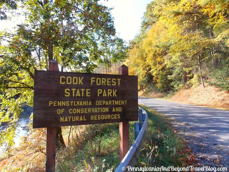 Cook Forest State Park PA